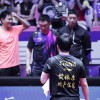 樊振东以13连胜完美收官乒超，球迷高喊“期待德甲之行”